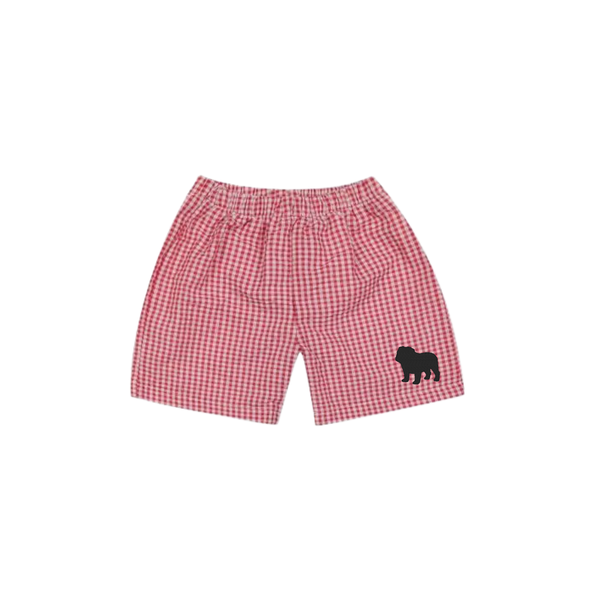 Boy's Gingham Shorts