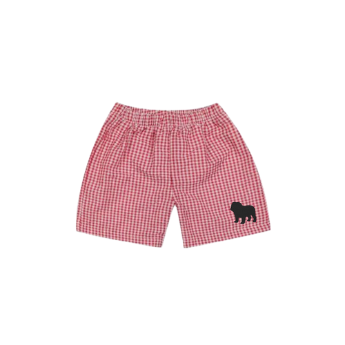 Boy's Gingham Shorts